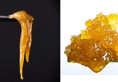 Resina dal vivo contro rosin dal vivo: qual è la differenza?