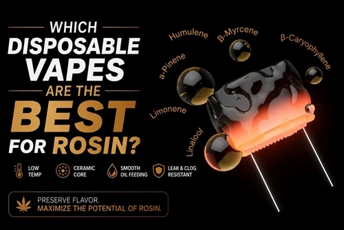 Quali vaporizzatori usa e getta sono i migliori per la colofonia?
