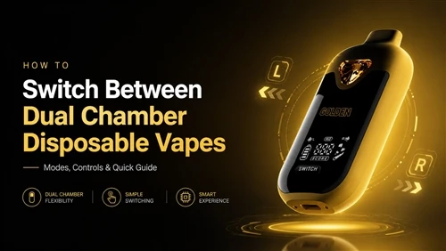 Come passare da un vaporizzatore usa e getta a doppia camera?